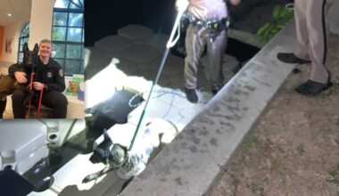 Troopers rescue lost dog with makeshift slip after it jumped into a Cape Coral canal
