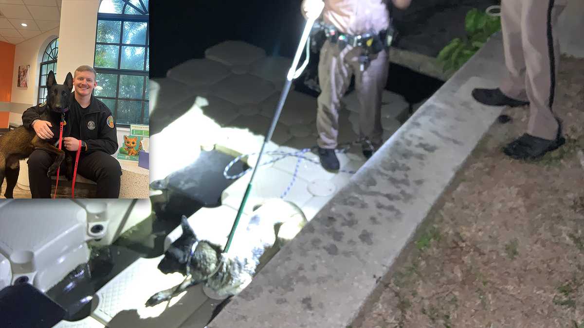 Troopers rescue lost dog with makeshift slip after it jumped into a Cape Coral canal