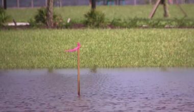 Puddles pooling up at newly renovated Jaycee Park