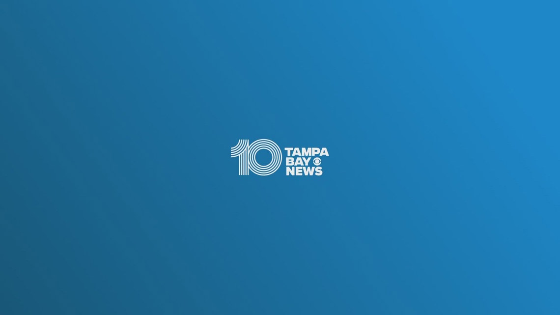 10 Tampa Bay News at 8:00 am
