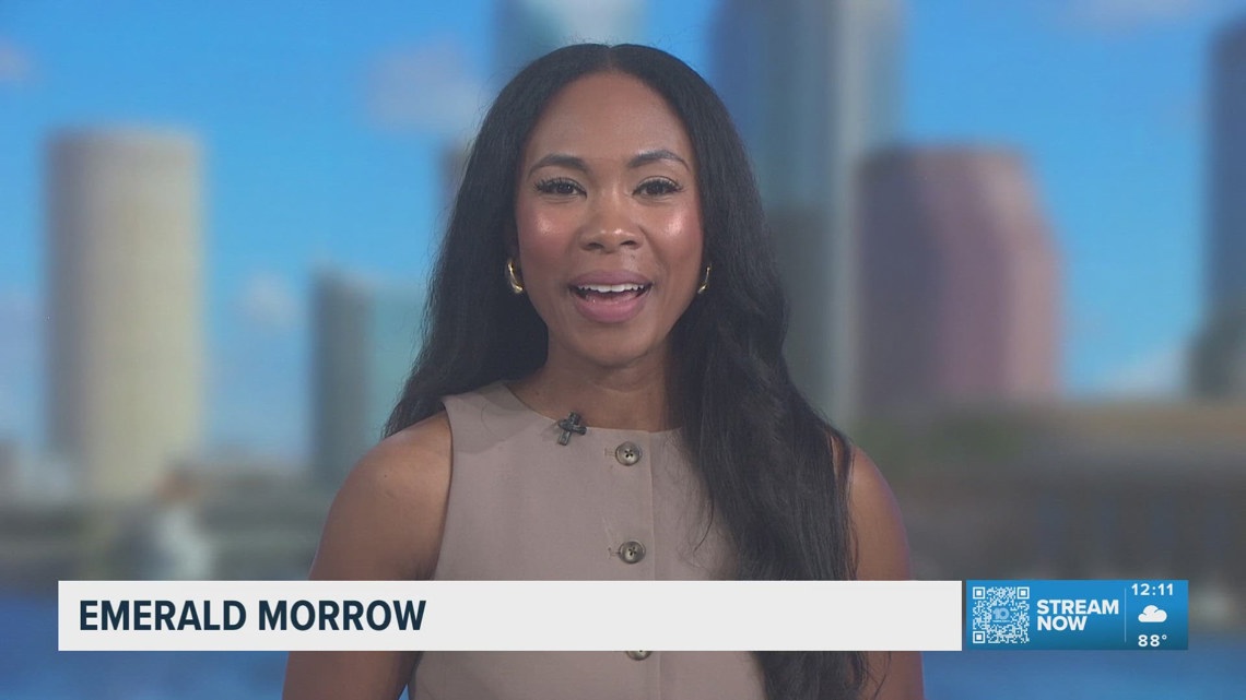 10 Tampa Bay News at 12:00 pm