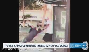 Tampa police searching for man caught on video attacking an 82-year-old woman