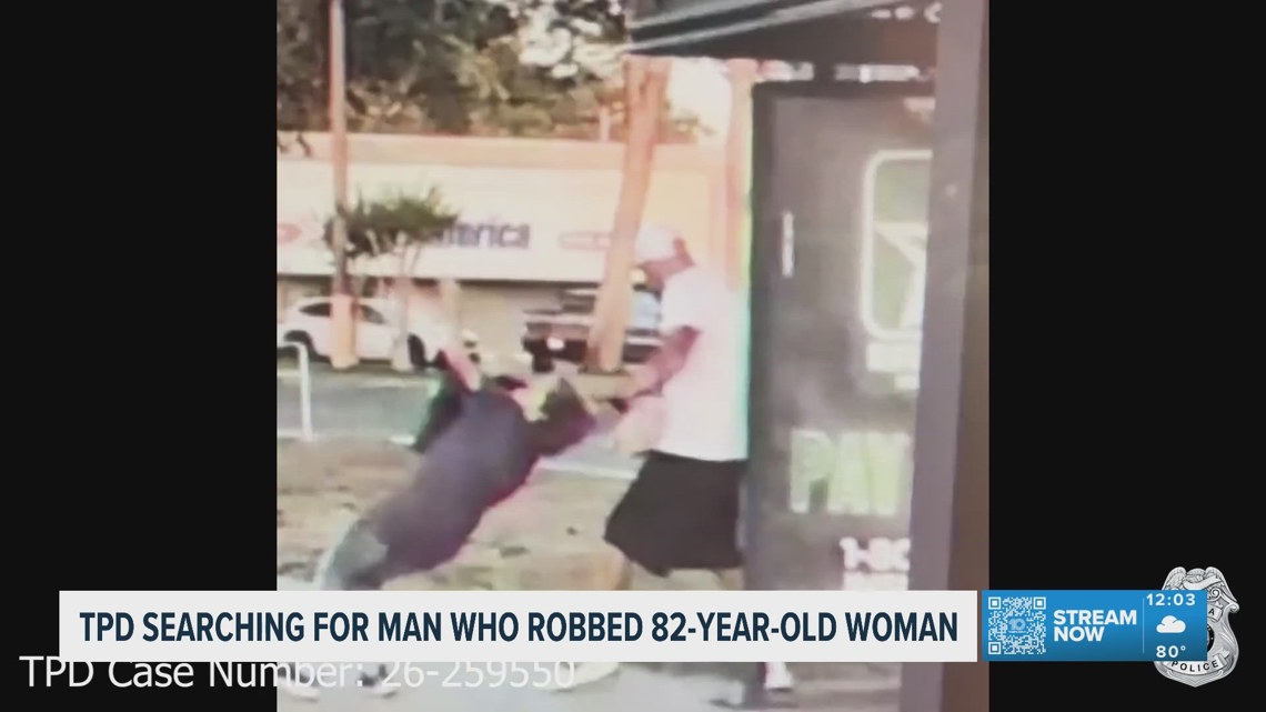 Tampa police searching for man caught on video attacking an 82-year-old woman
