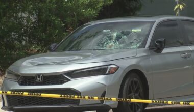 15-year-old in critical condition after being hit by car in St. Petersburg