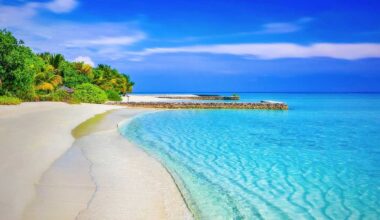 Fun things to do in South Florida