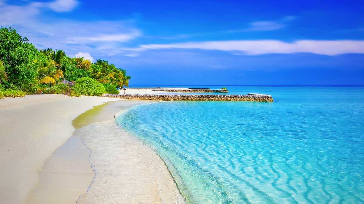 Fun things to do in South Florida