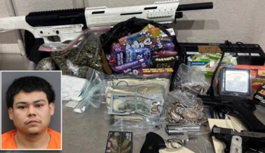 Alleged gang member arrested after search warrant reveals drugs, guns and cash: HCSO