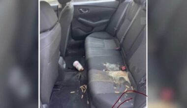 Florida Lyft driver accused of using AI to fake damage