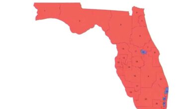 Judge deciding Florida congressional map dispute