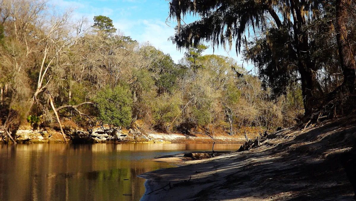 Storms force murky river water backward into Florida's crystal-clear springs