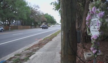Sister of Jacksonville hit-and-run victim says threats continue amid suspect search