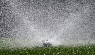 Tampa Bay officials step up watering restriction enforcement