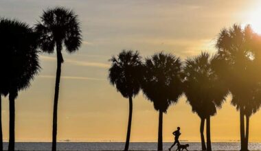 Here’s how St. Petersburg, Tampa parks rank against other major cities