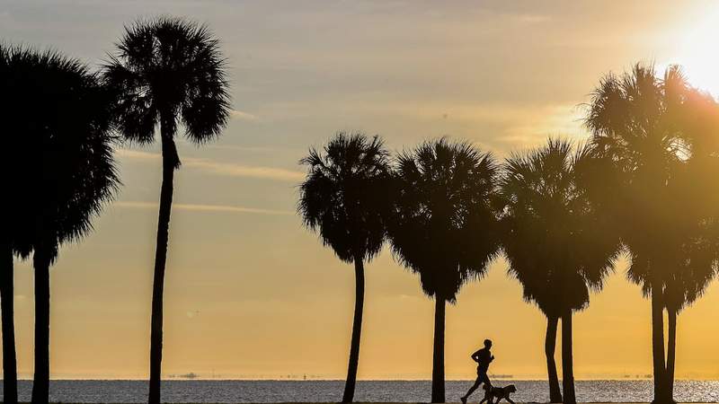 Here’s how St. Petersburg, Tampa parks rank against other major cities