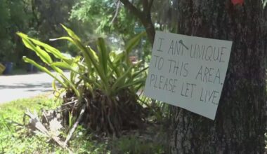 Fort Caroline Road residents concerned as path construction begins