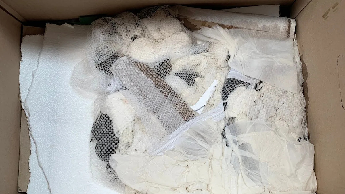 Nearly 2,000 turtles poached from Florida wildlife, trafficked overseas, officials say