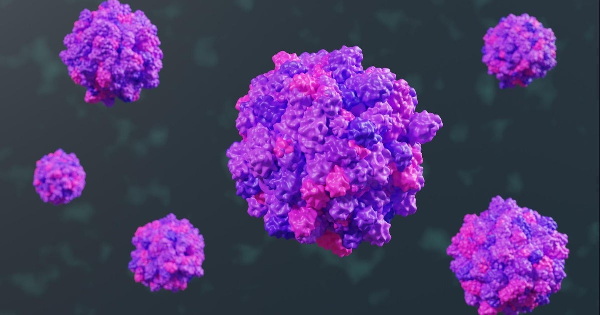 Norovirus outbreak reported on Fort Lauderdale-based Princess cruise ship