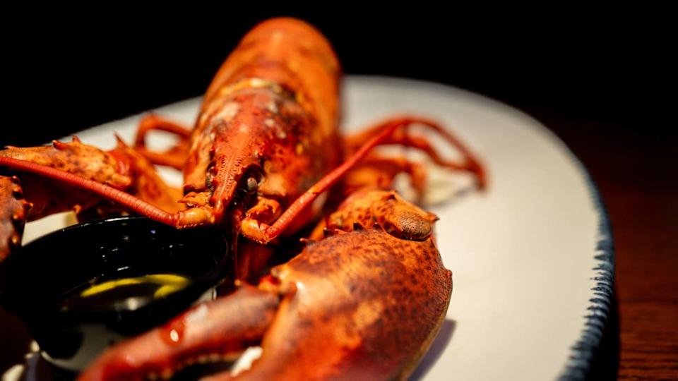 In this photo illustration, a cooked lobster is displayed on a plate at a Red Lobster restaurant.<p>&lpar;Photo Illustration by Brandon Bell&sol;Getty Images&rpar;</p>