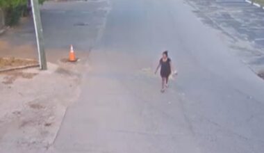 VIDEO: Woman faces 6 animal cruelty charges for throwing, kicking dog