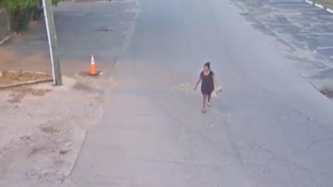 VIDEO: Woman faces 6 animal cruelty charges for throwing, kicking dog