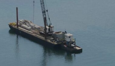 Miami-Dade task force proposes new boater ID system, unified enforcement after deadly Biscayne Bay crash