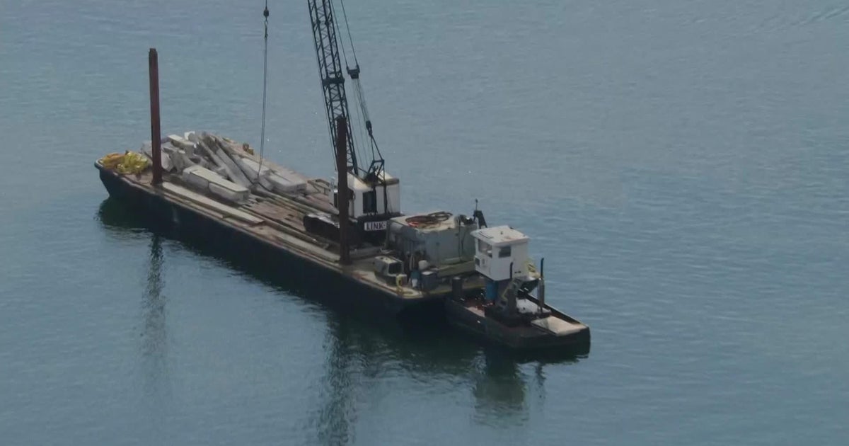 Miami-Dade task force proposes new boater ID system, unified enforcement after deadly Biscayne Bay crash