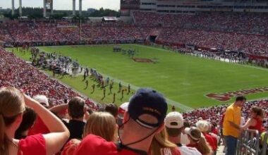 Bucs Fans May Get Shade - JoeBucsFan.com