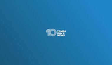 10 Tampa Bay News at 8:00 am