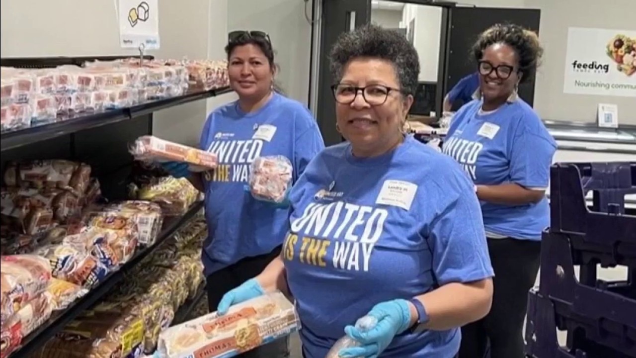 Hundreds of volunteers help Bay Area nonprofits