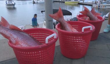 Judge ruling ends Florida's red snapper season before it even has a chance to begin