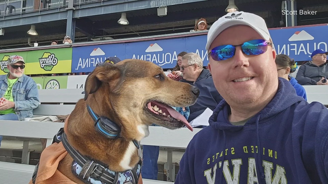 Navy veteran searching for injured service dog missing in Jacksonville