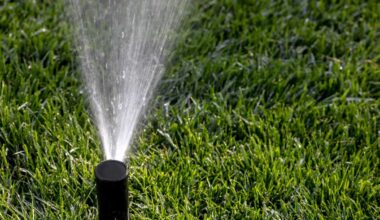 Cape Coral eases up on lawn watering restrictions, allowing residents to water once a week