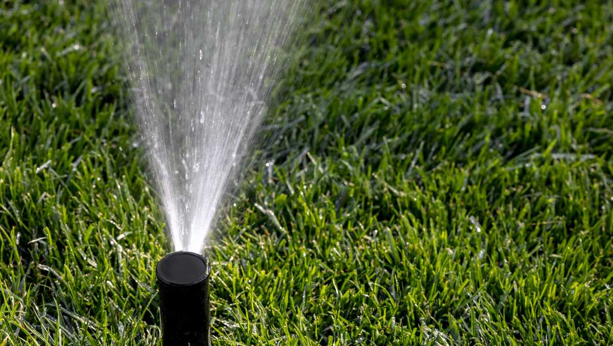 Cape Coral eases up on lawn watering restrictions, allowing residents to water once a week