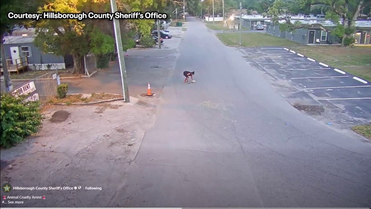 Florida woman charged for throwing, kicking dog