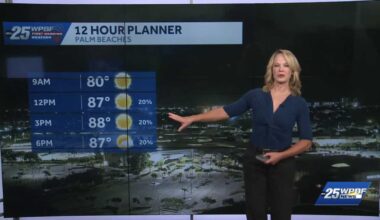Sunny with Isolated Shower Chances for South Florida