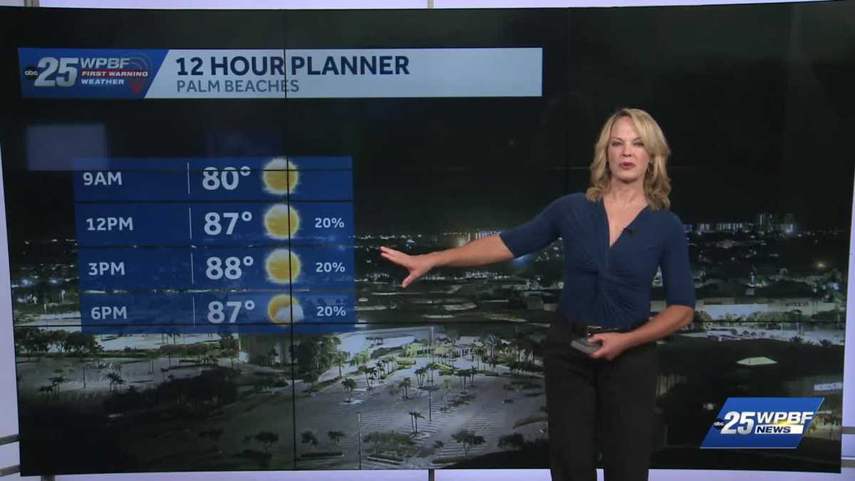 Sunny with Isolated Shower Chances for South Florida
