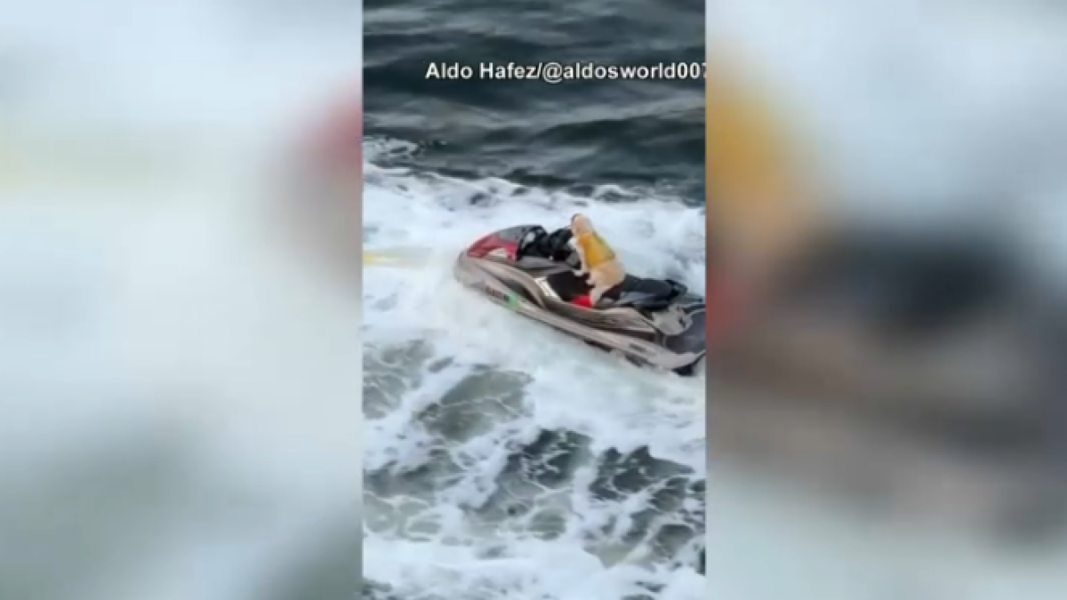 Man in viral video of dog on personal watercraft in Fort Lauderdale speaks – NBC 6 South Florida