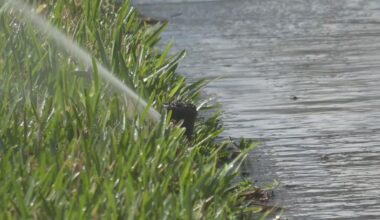 Program in Tampa waives fees for homeowners seeking access to reclaimed water amid ongoing drought