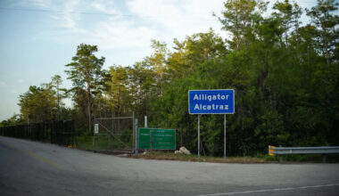 Lawsuit targets Florida's 'Alligator Alcatraz' over diesel pollution threatening the Everglades
