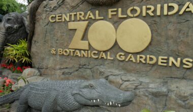 Moms can get free admission to Central Florida Zoo on Mother's Day