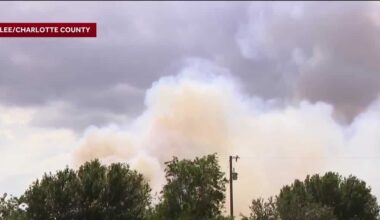 Brush fire on US-41 in Charlotte County grows to 60 acres; 50% contained