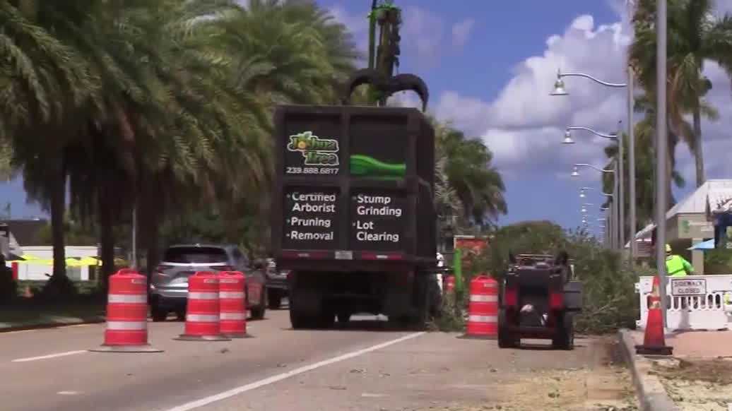 Oak tree removal disrupts businesses and traffic in Cape Coral