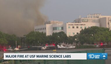 USF St. Pete building may be a 'total loss' following 2-alarm fire, school president says