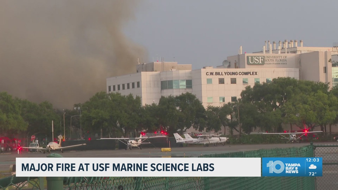 USF St. Pete building may be a 'total loss' following 2-alarm fire, school president says