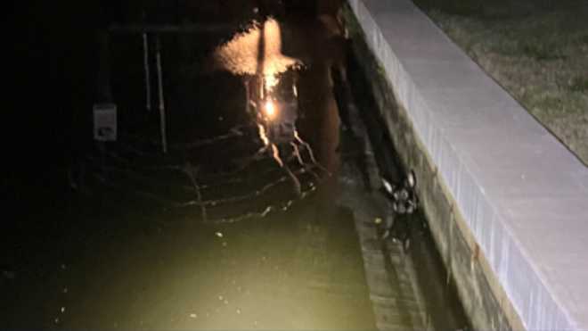 Lost dog rescued from canal by FHP trooper Lost dog rescued from canal by FHP trooper