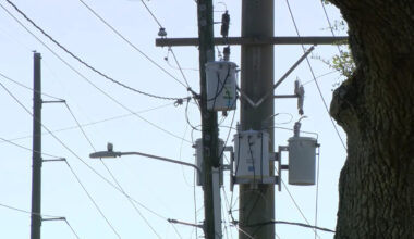 Tampa Electric warns of scammers using AI, fake websites to target utility customers