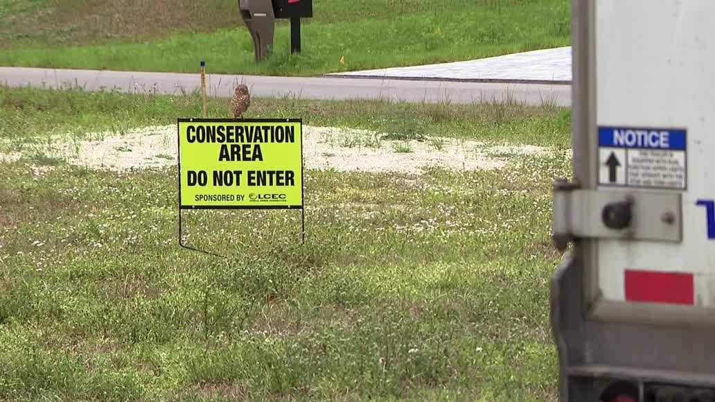 Cape Coral residents frustrated by semitrucks parked in open areas