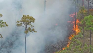 Prescribed burn near I-95 and Turnpike in Martin County creates smoke concerns