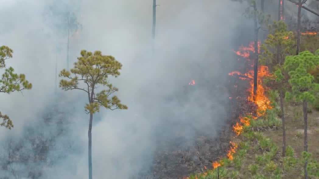 Prescribed burn near I-95 and Turnpike in Martin County creates smoke concerns