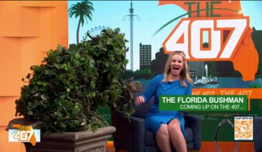 Florida Bushman offers wholesome jumpscares all across the state